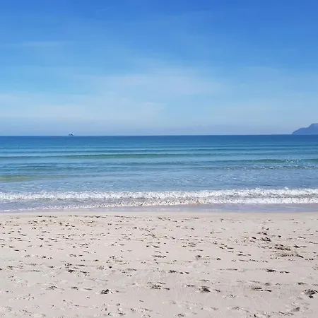 Ideal Mallorca - Micalo * Alcúdia